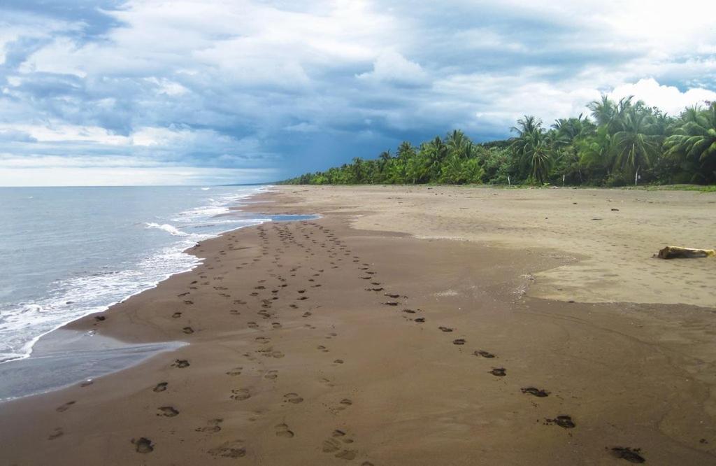 Appartamento Caribbean View Tortuguero Esterno foto