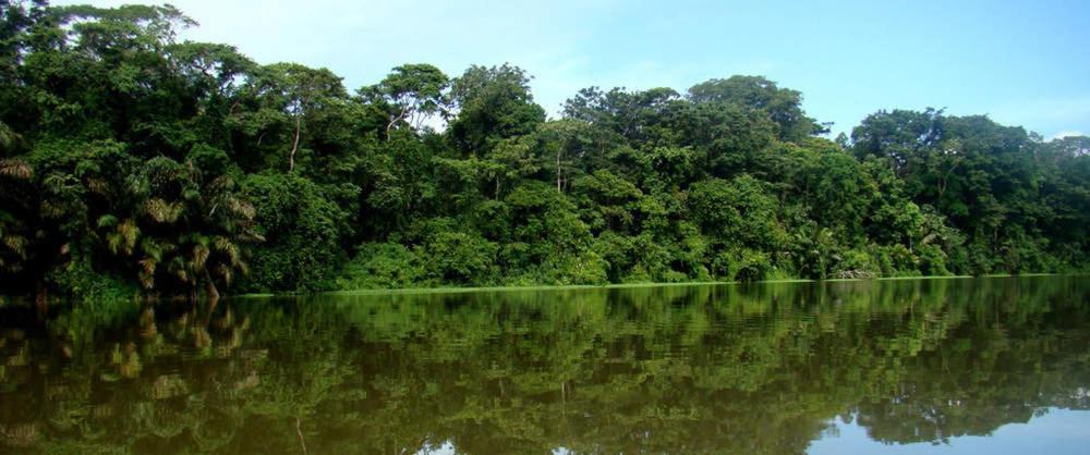 Appartamento Caribbean View Tortuguero Esterno foto