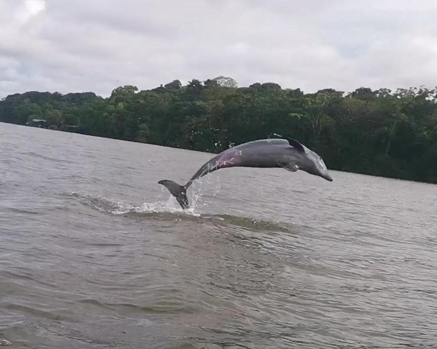 Appartamento Caribbean View Tortuguero Esterno foto