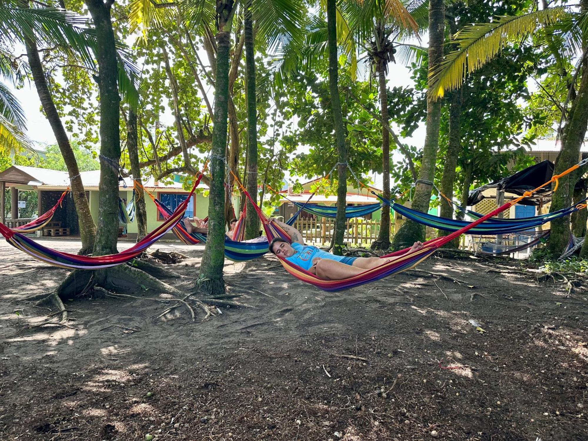 Appartamento Caribbean View Tortuguero Esterno foto