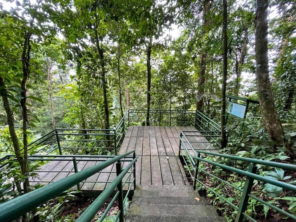 Appartamento Caribbean View Tortuguero Esterno foto